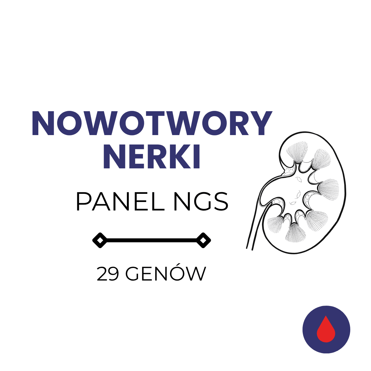 Nowotwór nerki – panel NGS – krew