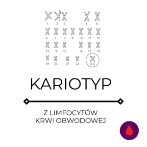 Kariotyp z limfocytów krwi obwodowej – krew<span class="custom-lista-opis">Ocena liczby i struktury chromosomów.</span>