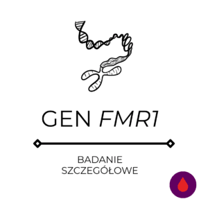 Pogłębiona analiza genu FMR1 – TP PCR – krew<span class="custom-lista-opis">Ocena nieprawidłowości w genie FMR1 związanym z FRAX, POI i FXTAS.</span>